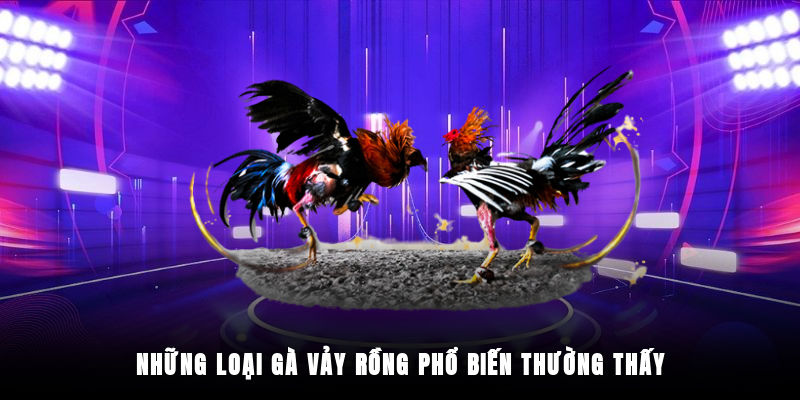 Phân loại những giống chiến kê vảy rồng phổ biến