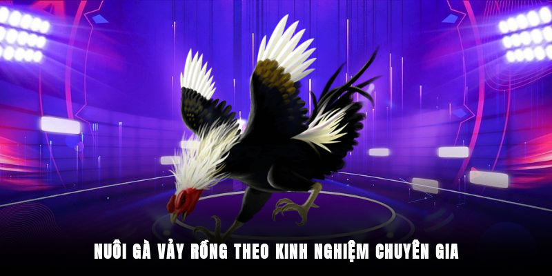 Kỹ thuật nuôi gà vảy rồng từ chuyên gia kinh nghiệm